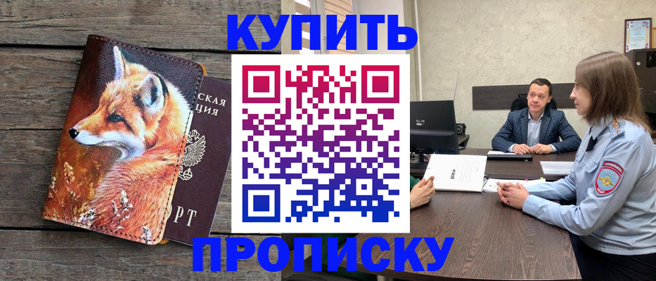 временная регистрация надежно в Заинске